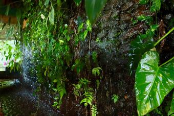 Hotel Paradise Eco Garden