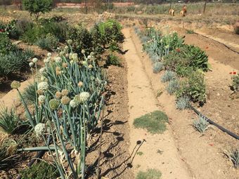 Hotel Pick N Pay  Resort Nkhotakota