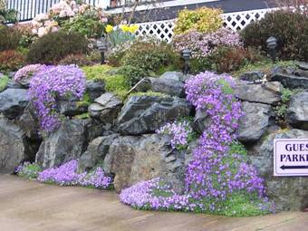 4 Beaches Bed & Breakfast