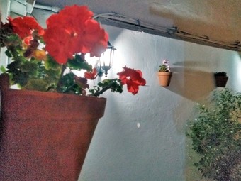 Agroturismo Magina Dream Belmez