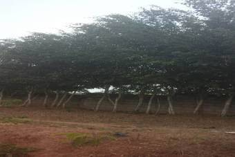 Hotel H�tel Bassame