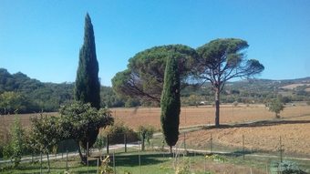 Bed & Breakfast Tana Del Tasso