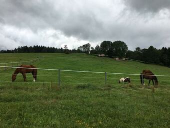 Hotel Aschberg Chalet