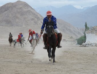 Hotel Chamba Camp Thiksey