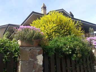 Bed And Breakfast Europe