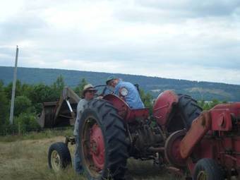 Seaweed And Sod Farm Bed And Breakfast