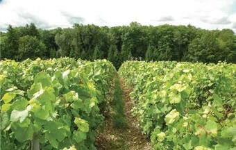 Four-bedroom Holiday Home In Jaulgonne