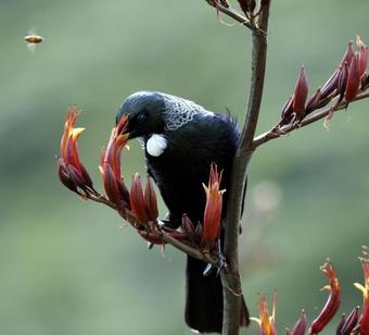 Bed & Breakfast Twin Waters Lodge