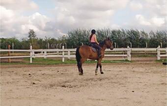 Two-bedroom Holiday Home In Choczewo