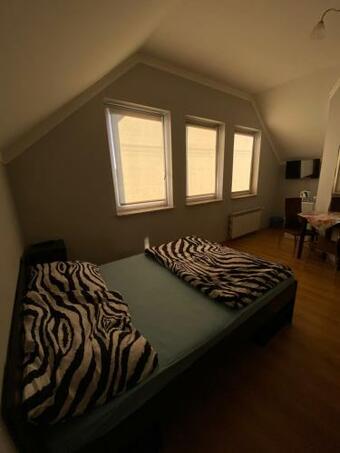 Hostal Pensjonat ,,sara" M?y?ska Guesthouse