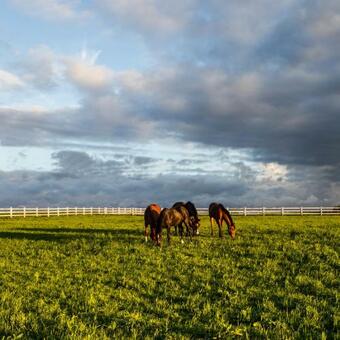 Hotel Powozownia Ciekocinko