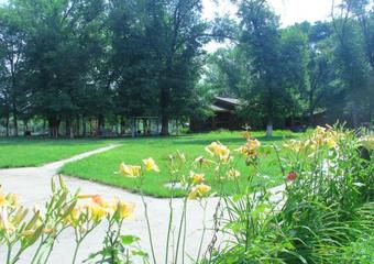 ???? ?????? "??????"