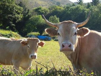 Agroturismo Villa Argentina