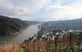 Apartment Niederburg XIV