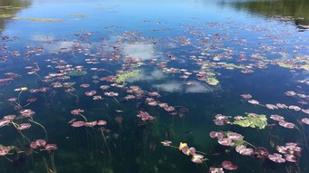 Apartamento Coastguard House 1