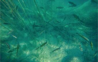 Two-bedroom Holiday Home In Siritovci