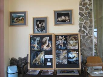 Hostal Pensiunea Bradet - Padis