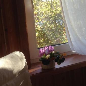 Agroturismo Dacha On Ladoga Lake