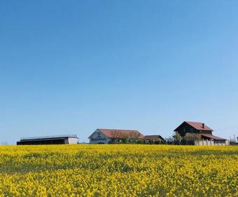 Albergue Shantambala