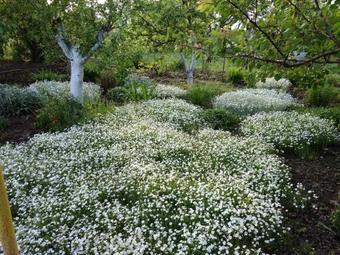 Hostal Raiskiy Ugolok