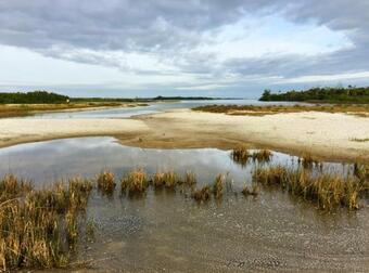 Studio - Fish Camp Pets Screened Porch Waterfront District
