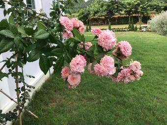 Bed & Breakfast Baan Klangkhao Mountain View At Khaoyai