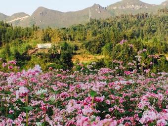 Bed & Breakfast Dao Lodge