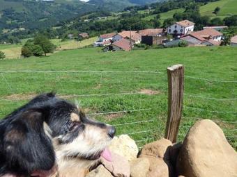 Agroturismo Casa Barazabal