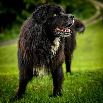 Agroturismo Farm Stay Masnec