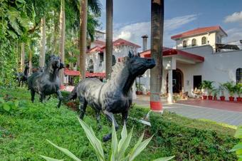 Hotel Khanvel Resort