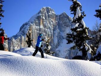 Apartamento Centro Thule - Genziana