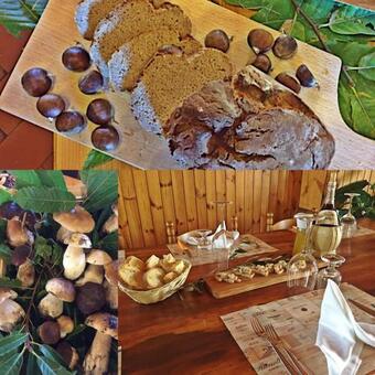 Agroturismo Agriturismo Bicocchi