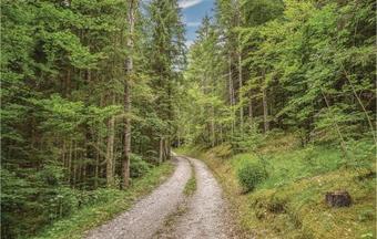 Apartamentos Casa Ferigo A