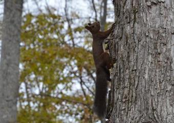 Posada Artinn ????????