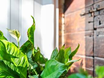 Charming Apartment In Monteprandone With Garden