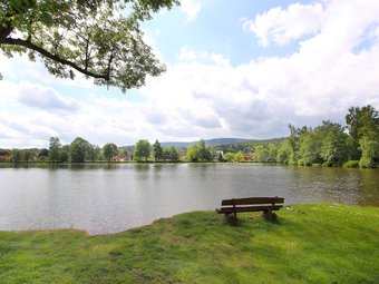 Enticing Apartment In Georgenthal With Sauna