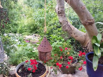 Serene Holiday Home In Lagrasse With Terrace