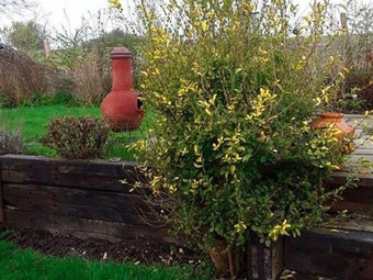 Quaint Holiday Home In Hastings With Patio