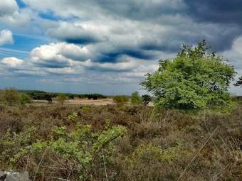 Tidy Bungalow With Garden Located In Natural Area