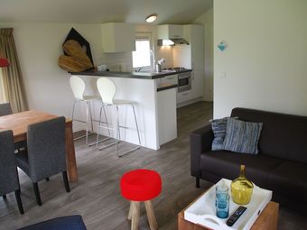 Cozy Lodge With Dishwasher, In The Nice Achterhoek