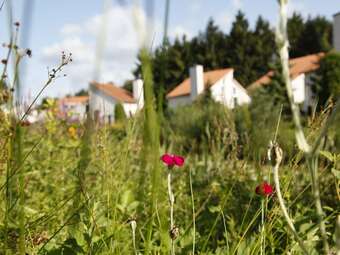 Comfortable Villa With Combi-microwave In Green Surroundings