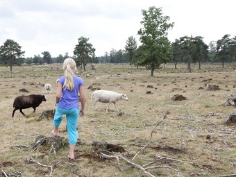 Thatched Villa With Dishwasher, 2 Km. From Appelscha