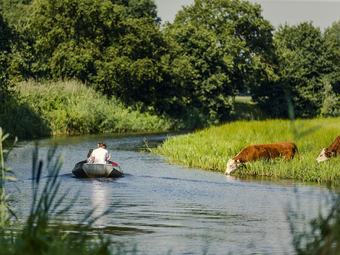 Cozy House With A Dishwasher, Close To The Nature