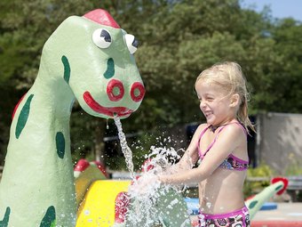 Thatched Villa With 2 Bathrooms, 2 Km. From Appelscha