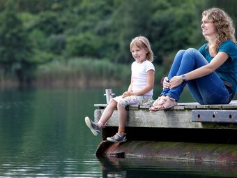 Villa Luxurious Detached With A Garden In De Maasduinen