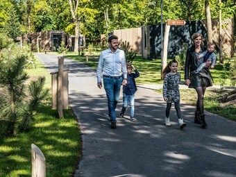 Modern Waterfront Lodge, Located Within Green Surroundings