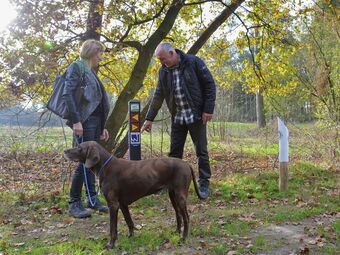 Beautiful Wellness House With A Solarium, In A Water Area