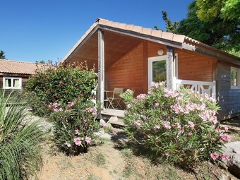 Cozy Chalet With Covered Terrace In Green Surroundings