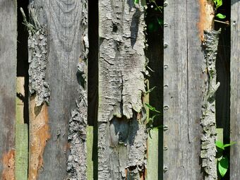 Pet-friendly Mansion In The Hochsauerland Region With Garden And Terrace