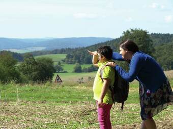 Single Storey Detached Bungalow, In A Wooded Area